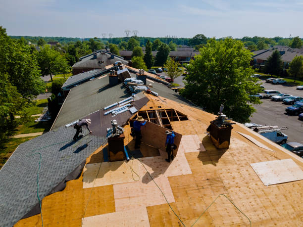 Trusted Flat Roof Repair service in Gifford, SC - Brentwood Metal Roofing